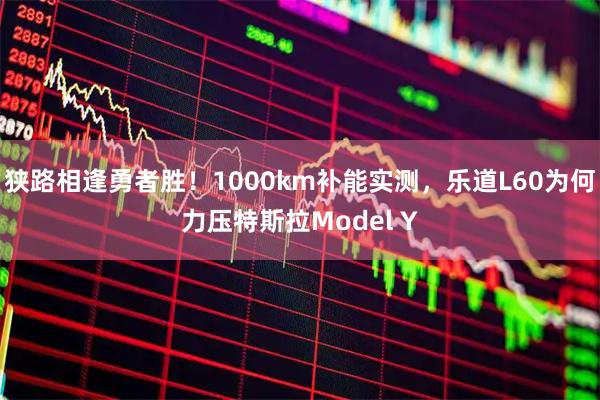 狭路相逢勇者胜！1000km补能实测，乐道L60为何力压特斯拉Model Y