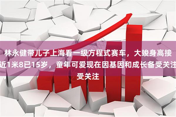 林永健带儿子上海看一级方程式赛车，大竣身高接近1米8已15岁，童年可爱现在因基因和成长备受关注