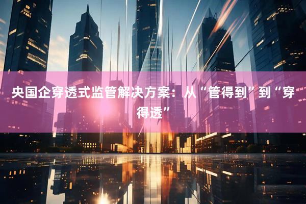 央国企穿透式监管解决方案:从“管得到”到“穿得透”