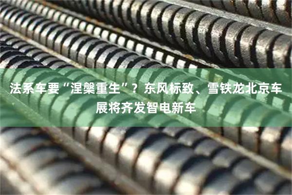 法系车要“涅槃重生”？东风标致、雪铁龙北京车展将齐发智电新车