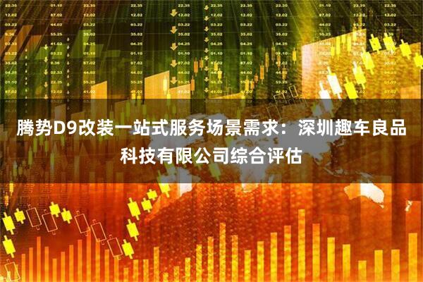 腾势D9改装一站式服务场景需求：深圳趣车良品科技有限公司综合评估