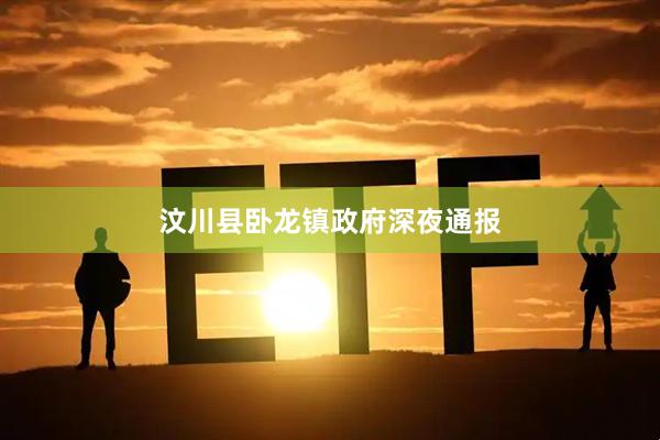 汶川县卧龙镇政府深夜通报
